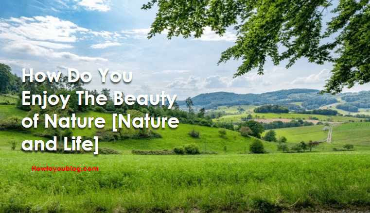 How Do You Enjoy The Beauty of Nature [Nature and Life]