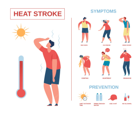 How to Avoid Heat Stroke and Heat Exhaustion