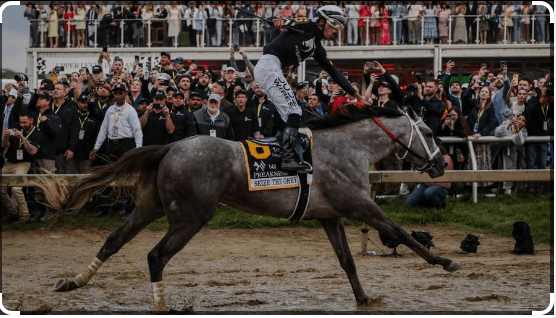 When does Preakness 2024 start? Mystik Dan aims for a second Triple Crown win