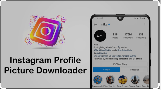 The Ultimate Guide to Instagram Profile Downloaders