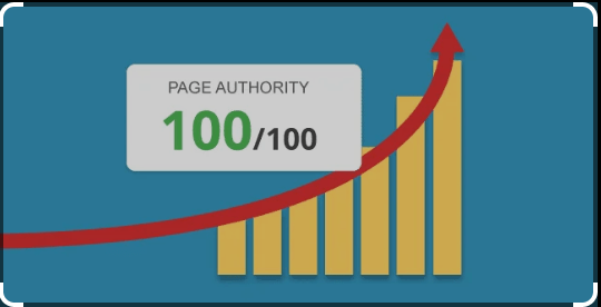 Level Up Your Website: What is Page Authority?