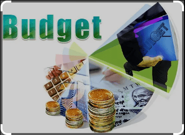 Understanding the Indian Union Budget-2024 to 2025(Key Terms)