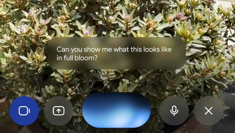  Gemini Live Interface