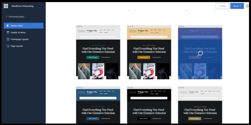 Choose a WordPress Theme