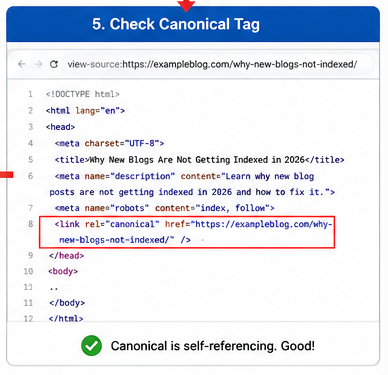 5. Check the Canonical Tag