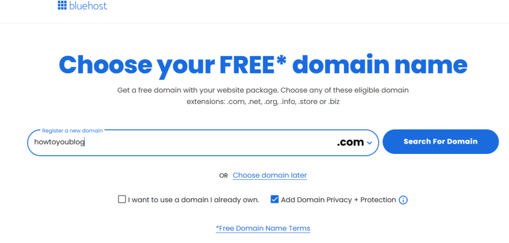 Register Your Domain Name