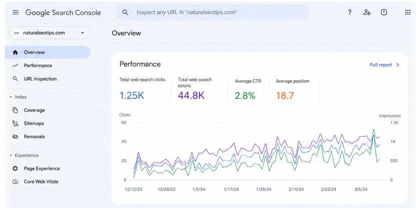 Use Google Search Console before you spend time or money