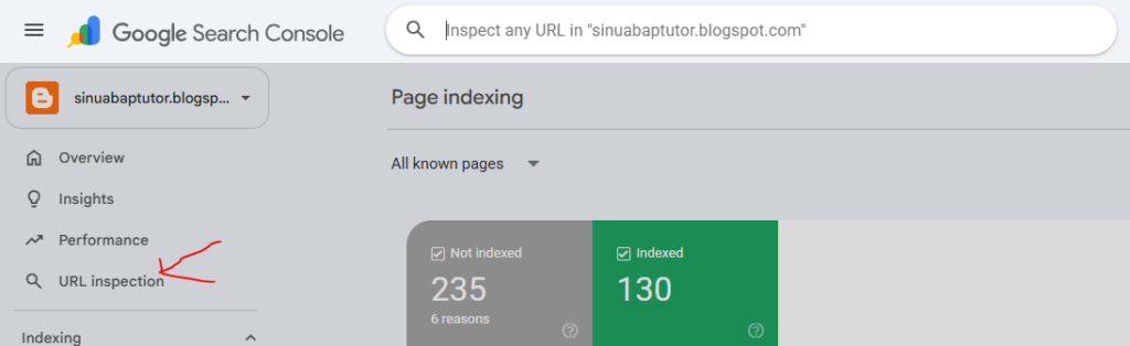 Inspect Your Most Important URLs Individually